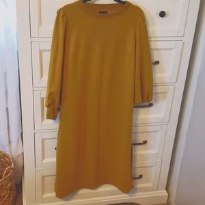 Who what wear dress size Large